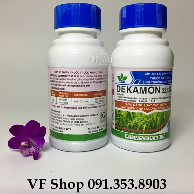 Dekamon/Thuốc ĐHST