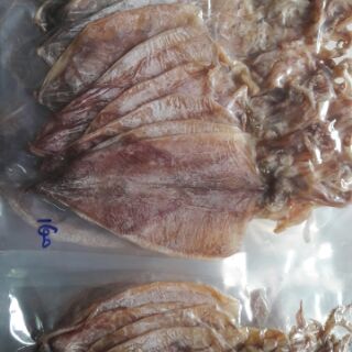 COMBO 14 CON KHÔ MỰC SIZE TO