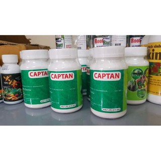 Captan Thái Lan đặc trị bệnh do nấm