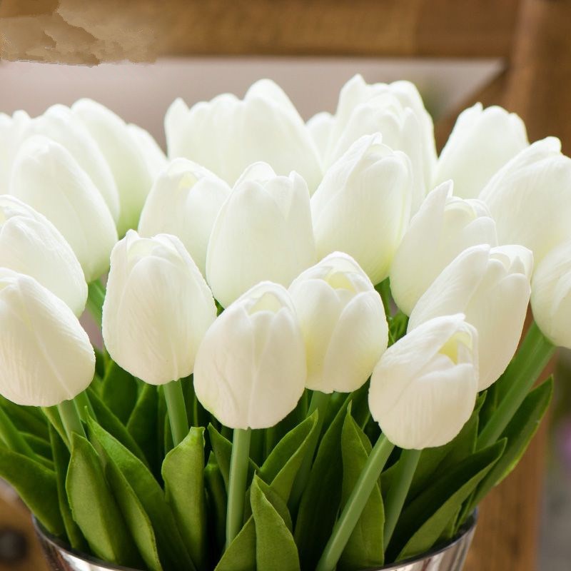 Hoa tulip phụ kiện chụp ảnh, trang trí - Hàng có sẵn - Daisy.decor