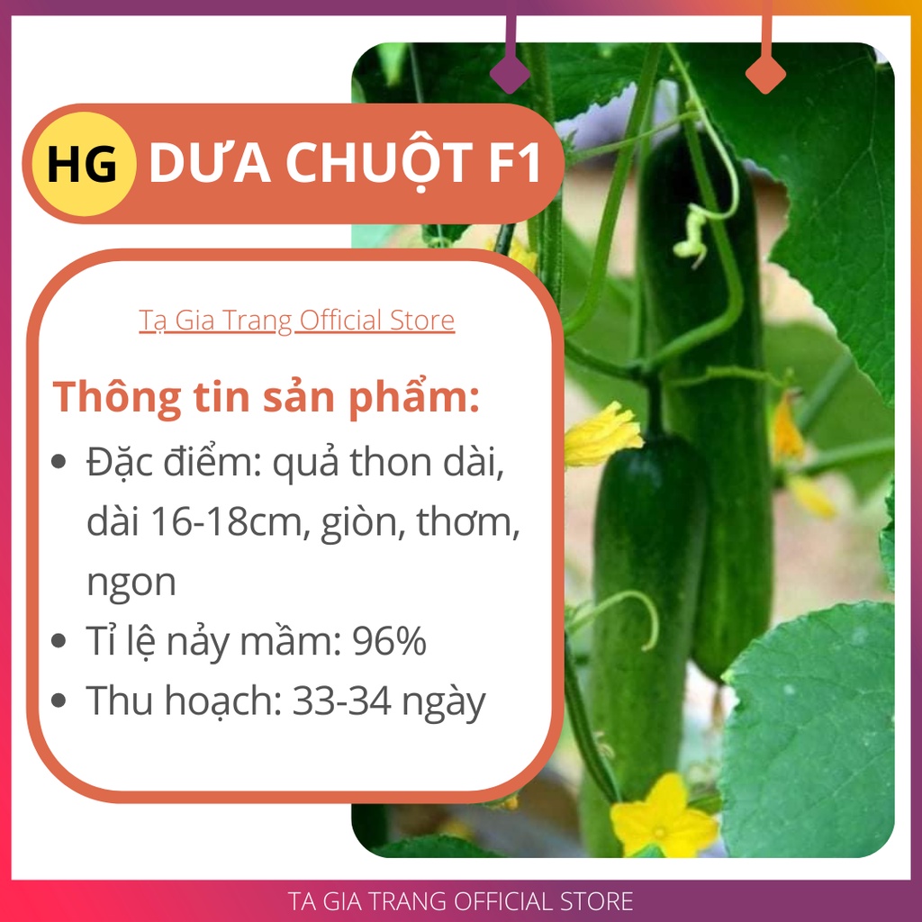 [Bán sỉ] - Hạt giống dưa chuột F1 (dưa leo) cao sản