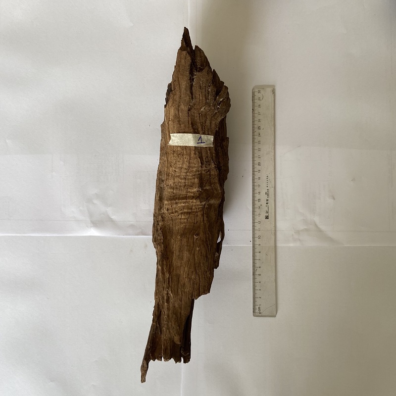 Lũa săn đá vân gỗ đẹp trang trí bể cá, tiểu cảnh, sân vườn, terrarium, bán cạn nhiều