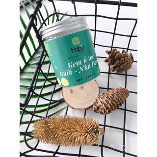 Kem Ủ tóc Bưởi - Nha Đam HaPu Organic 250gr