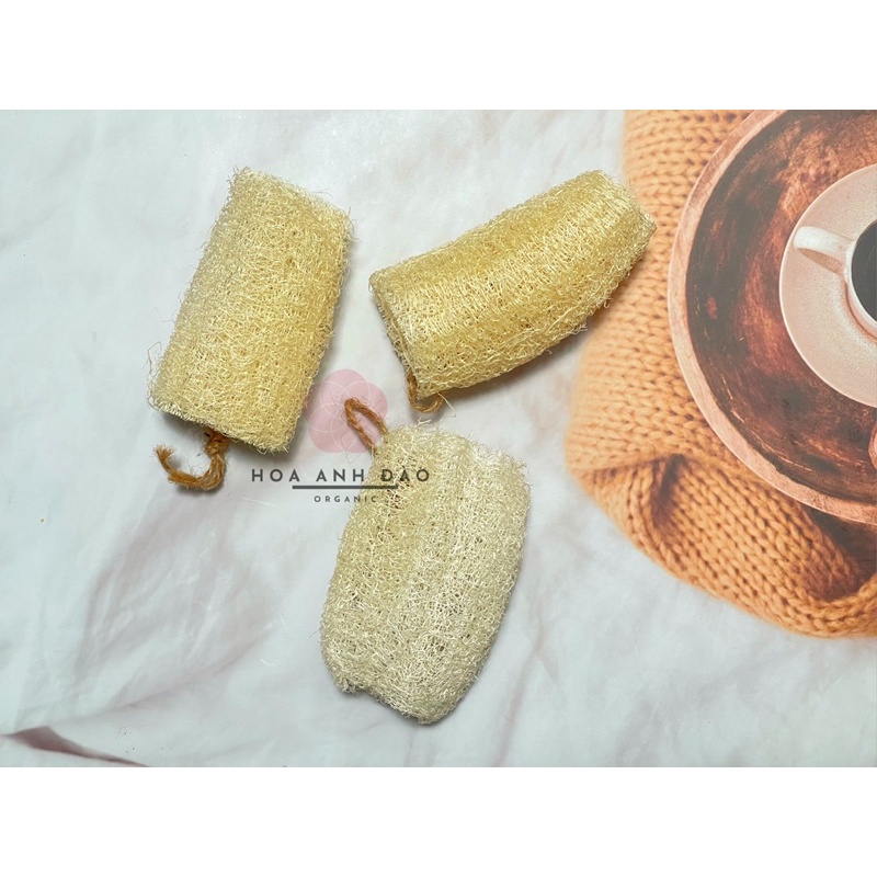 Bông Tắm Xơ Mướp Handmade Organic không chất tẩy Yincos | BigBuy360 - bigbuy360.vn