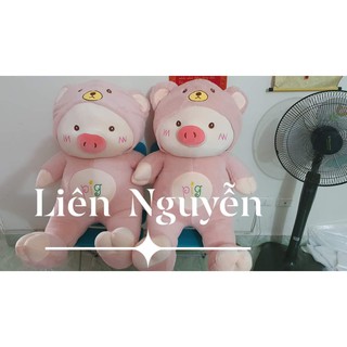 Gấu Heo Pig Cao Cấp