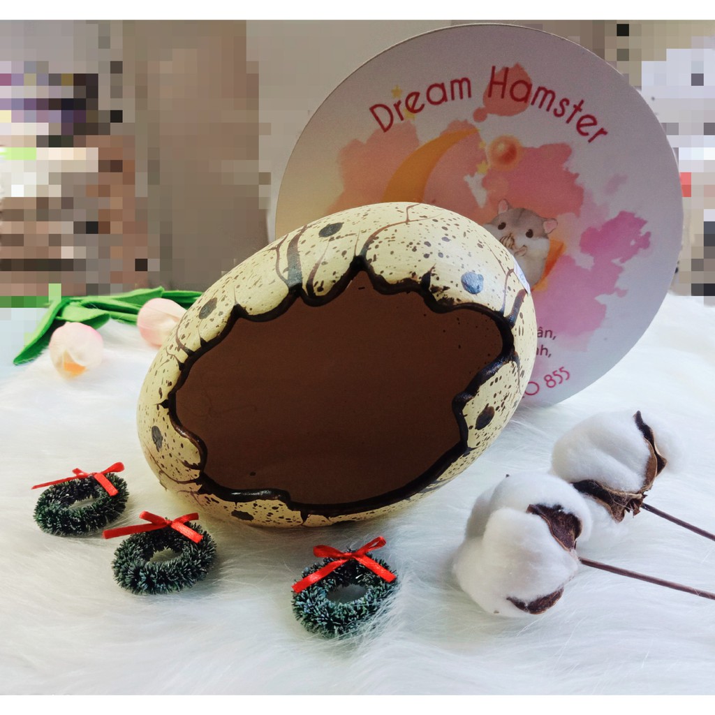 Nhà Trứng Khủng Long