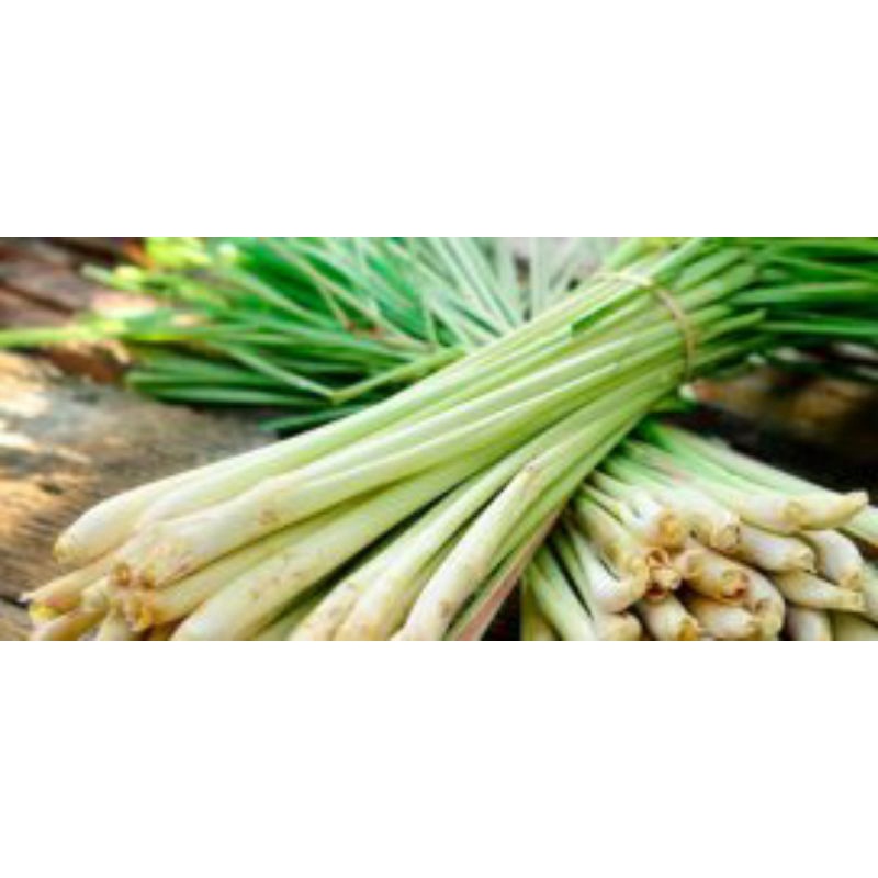 Q.Tân Phú - Cây xả 100gr