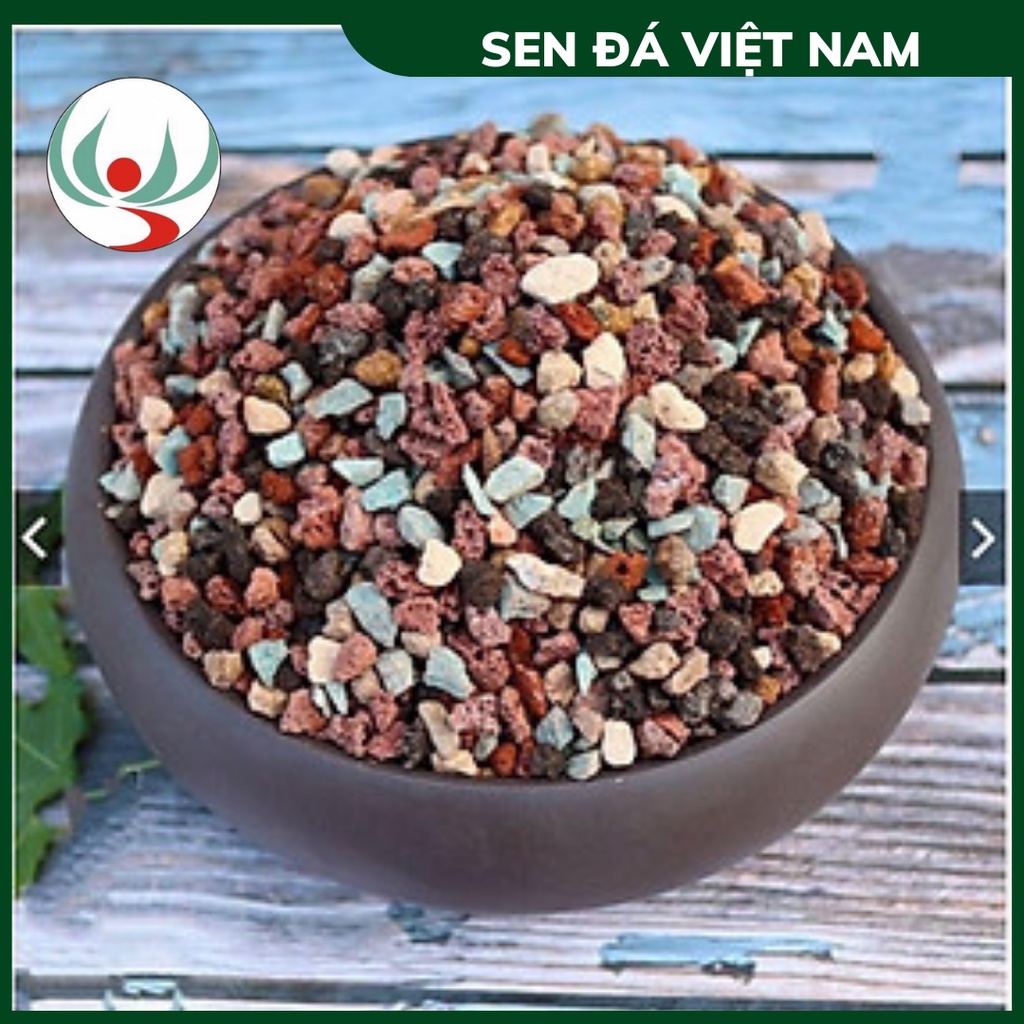 Đá Giữ Màu Cho Sen Đá,Xương Rồng, đá thấm nước kích rể tăng màu sắc với hổn hợp khoáng chất cần thiết, đóng gói 1kg/túi