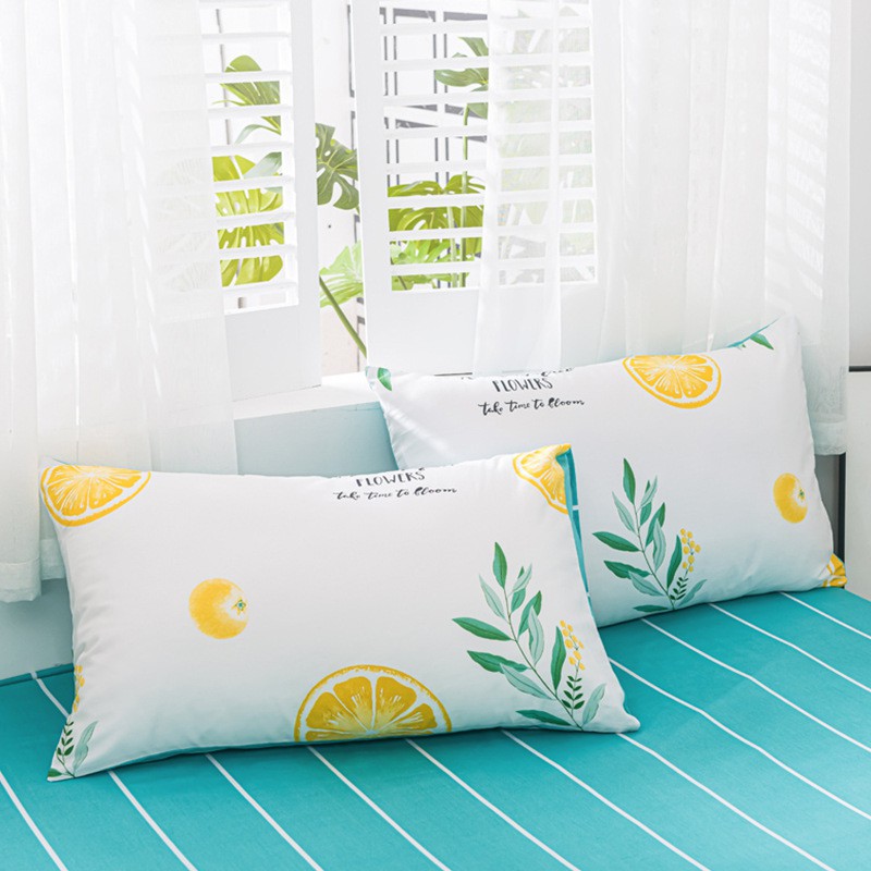 Hoạt Hình Vỏ Gối Đơn / Đôi Bằng Cotton Nguyên Chất In Hình Hoạt Họa Kích Thước 48xx74cm 2021