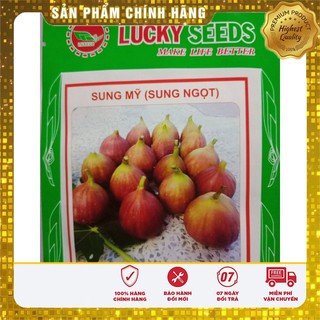 Hạt giống cây sung ngọt mỹ