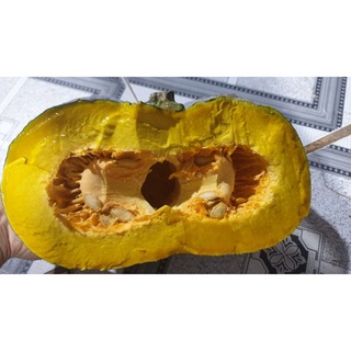 (Quận 12) 1kg Bí Đỏ/Bí Ngô