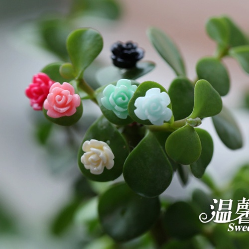 Phụ kiện - Set 5 hoa nhựa nhiều màu trang trí tiểu cảnh terrarium, cây cảnh, mô hình, làm đồ handmade