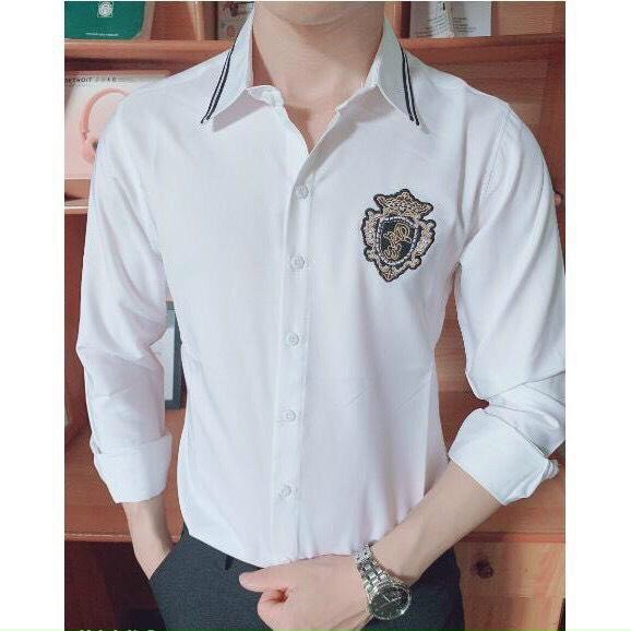 [Mã FAMAYMA2 giảm 10K đơn 50K] Áo sơ mi tay dài họa tiết thêu hàn quốc mới nhất | BigBuy360 - bigbuy360.vn