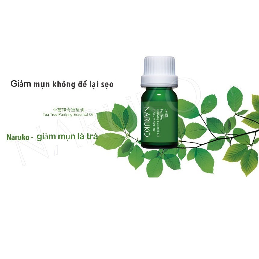 Tinh dầu NARUKO tràm trà ngăn ngừa và giảm mụn Tea Tree Purifying Essential Oil 10ml (Bản Đài)