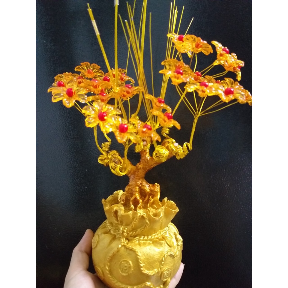 Combo phụ liệu cây kim tiền 10 nhánh, kèm thỏi dây thịnh vượng hoa phale bán chạy nhất 2022,hoa chưng tết