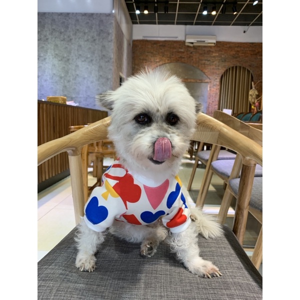 Áo có tay cho chó mèo