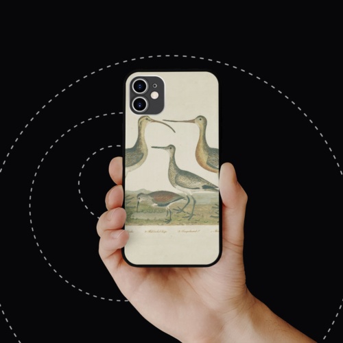 Ốp lưng iphone hình birdy collage art kinetic art sang chảnh  cho các dòng SAMSUNG PAP20210754