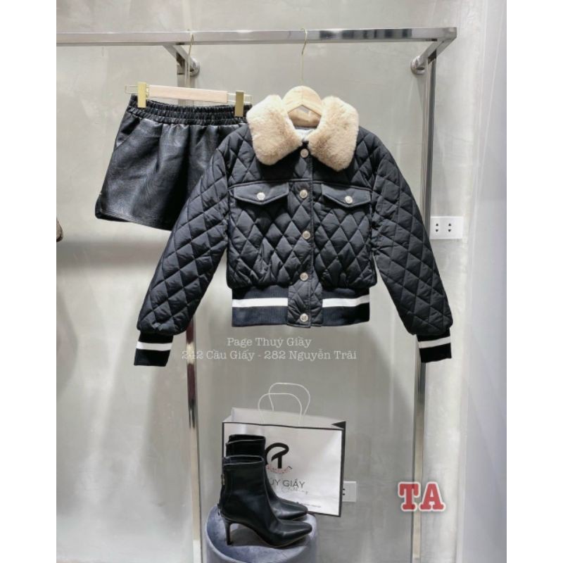 Phao trám viền gấu