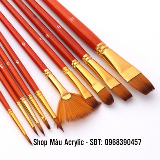 Bô cọ vẽ tranh 10 cây nhỏ nhiều đầu cọ