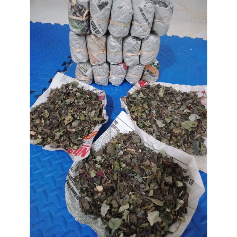 Lá uống trĩ gia truyền 15 thang 15 ngày uống