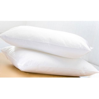 Combo 2 Ruột gối bông hạt hàng việt nam (tặng kèm 2 vỏ gối)