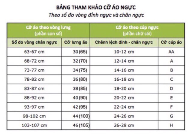 [Size 36/80] Áo Ngực Ren Cotton Loại Đẹp - Hàng TQXK (Mã 66-75)