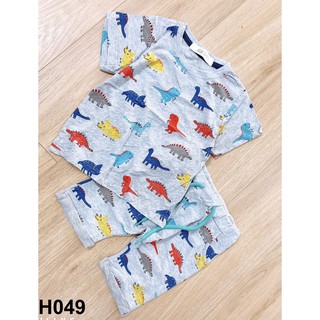 Bộ cotton khủng long bé trai