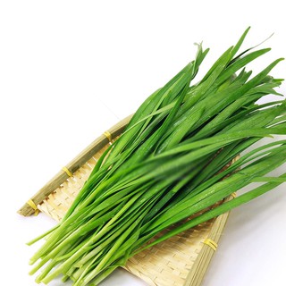 Hạt Giống Hẹ Lá Cao Sản Thu Hoạch Quanh Năm, Dễ Trồng Chăm Sóc