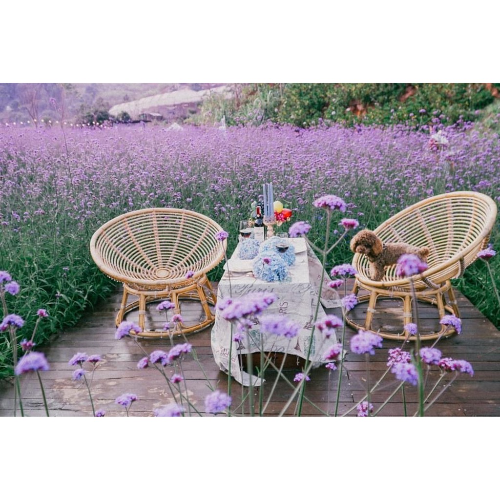 Ghế Papasan Bằng Mây Tự Nhiên Ghế Thư Giãn Kích Thước 1m Kèm Nệm Siêu Xinh Xắn