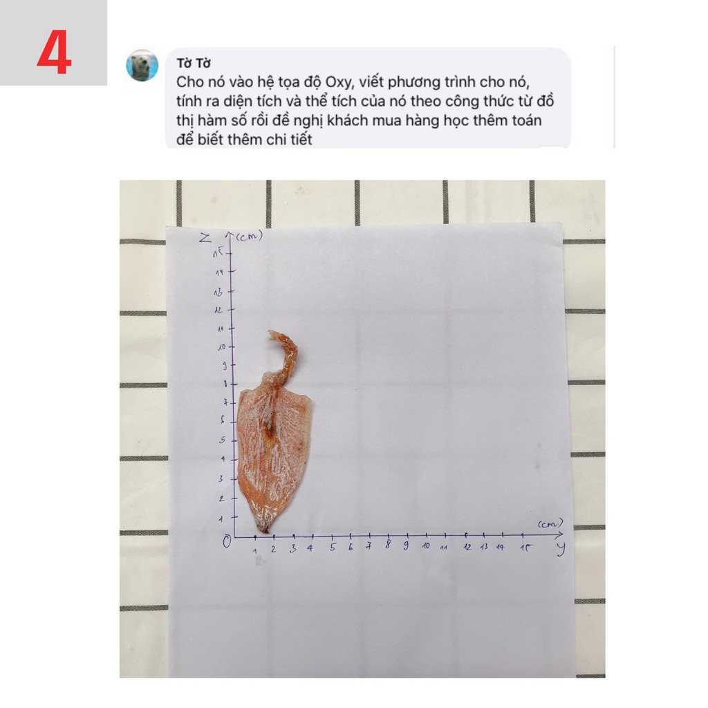 Mực Mini Ngọt Thịt- 1 Con - Hanigo Food