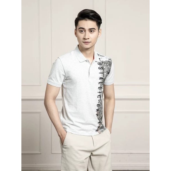 Áo thun polo nam Aristino tay ngắn chất vải CVC màu xám dáng Slim fit APS064S1