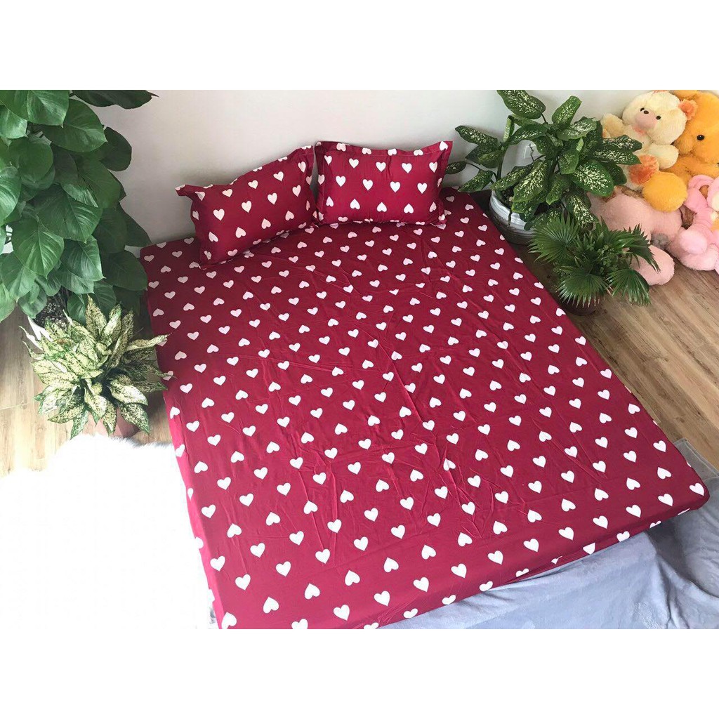 SÉT GA GỐI POLY COTTON XUÁT HÀN