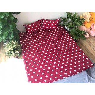 Sét ga gối poly cotton xuát hàn