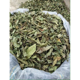 Xạ đen Hoà Bình 1kg (cả thân và lá)