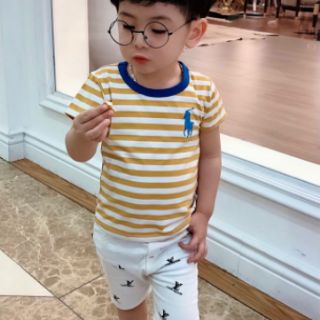 Combo 3 áo kẻ sz 1-7.