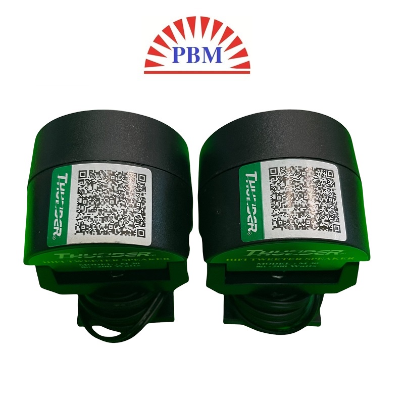 Loa chép rời 200W hiệu Thunder - Chính hãng.