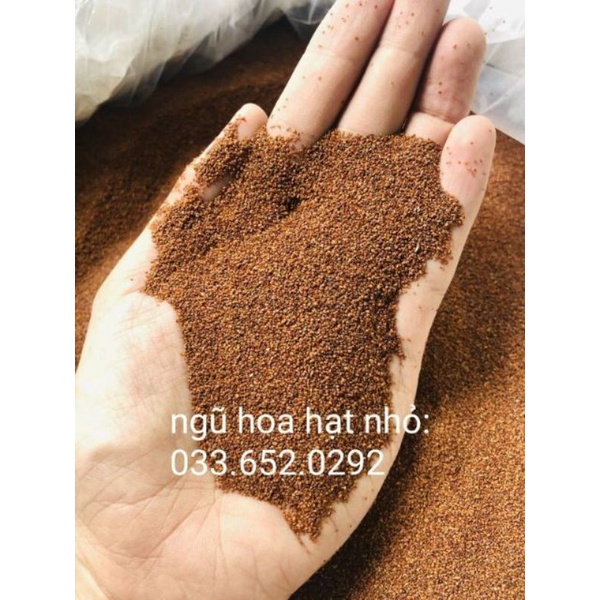 1kg  ngũ hoa hạt nhỏ handmade giảm mụn thâm kiềm dầu