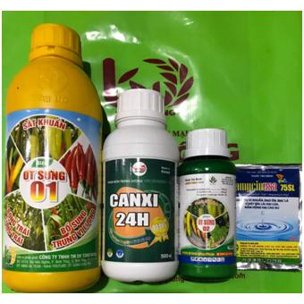 DƯỠNG CHẤT DÙNG CHO CÂY ỚT
