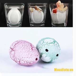 Đồ chơi trứng khủng long nở thần kì