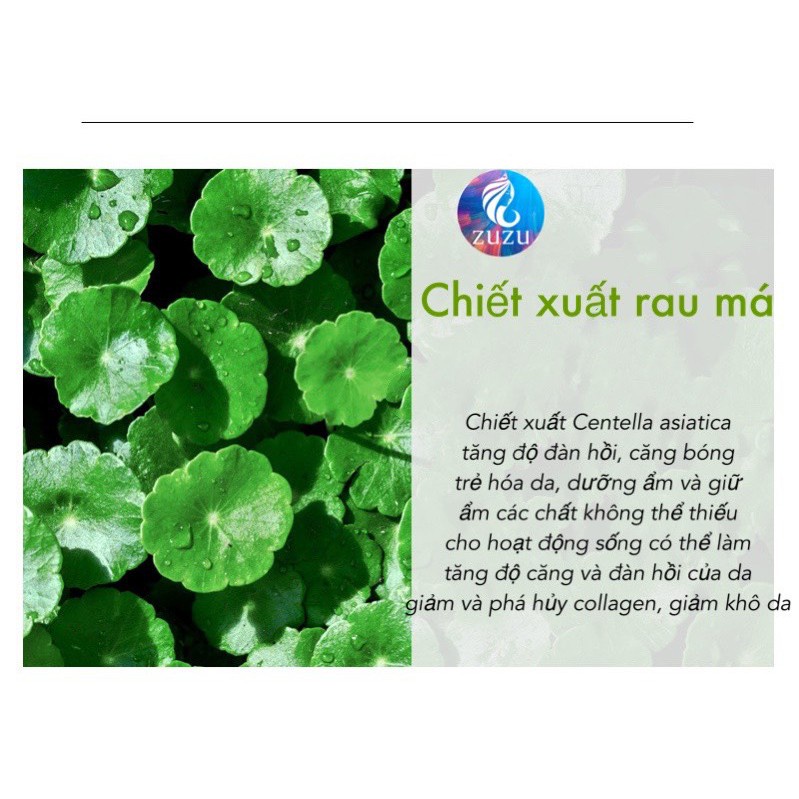 ✨Mặt Nạ Ngủ Rau Má Dạng Gel Centella Seautifair giảm các vết thâm trên da mụn đồng thời làm sạch da ngăn mụn hiệu quả