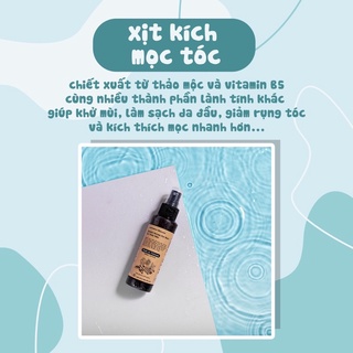 Xịt tóc thảo mộc giúp kích thích mọc tóc làm sạch da đầu