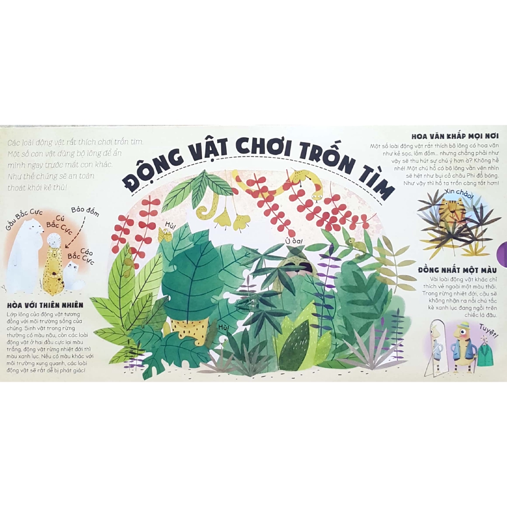 Sách - Giáo Dục Đa Giác Quan - Ú Òa, Rừng Rậm Và Tuyết Phủ
