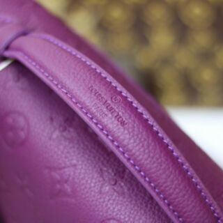 Túi xách Louis Vuitton Pochette