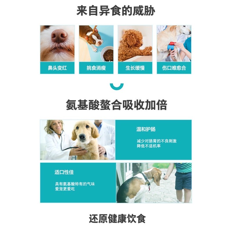 Vitamin cho chó Nourse 02 Vi lượng và sắt cho chó bầu chó thiếu chất Surica VN02 (160v)