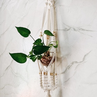 Giỏ Macrame treo cây trang trí phối màu theo yêu cầu 🔥🔥