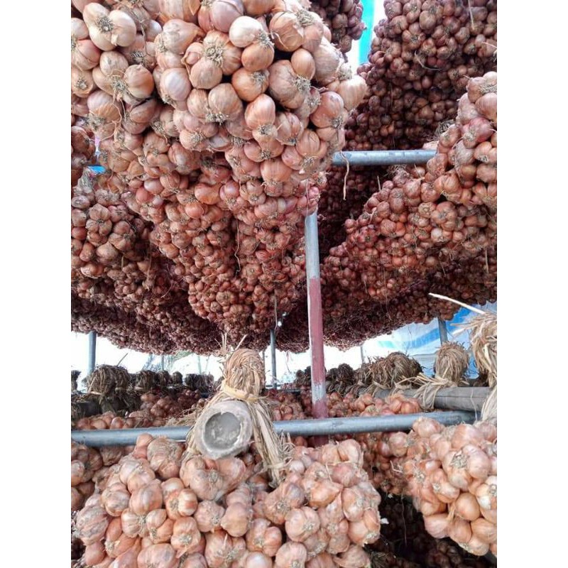 ĐẶC SẢN HÀNH KINH MÔN HẢI DƯƠNG