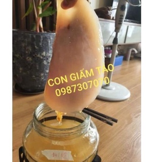 GIẤM TÁO DẤM TÁO 1000ML