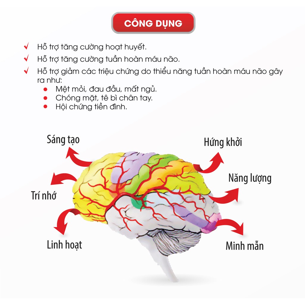 Hoạt Huyết Dưỡng Não Đông Dược 5 - Tăng Cường Tuần Hoàn Máu Não (Combo 2 Hộp giảm 5%)