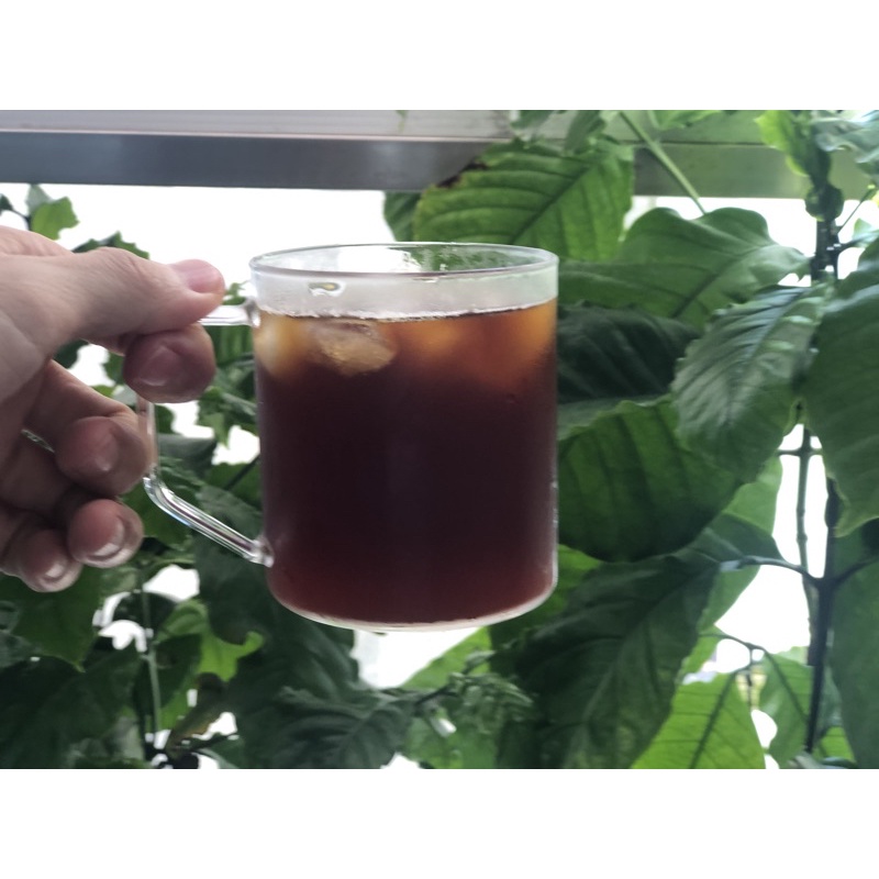 Cà Phê Kenya Top Asali Nhập Khẩu Lung Roastery, Gói 250g | BigBuy360 - bigbuy360.vn