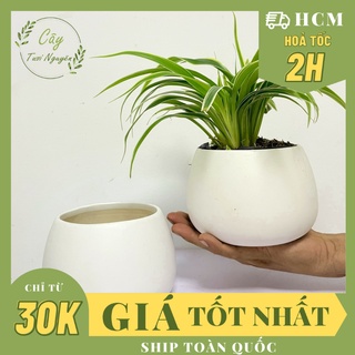 Chậu hạt dẻ tráng men , tráng men, chậu cây mini, sen đá, xương rồng cây tươi nguyên ctn0980
